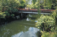 Coomalie River - north of Adelaide River