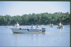 Barra Classic - Fishing in Northern Territory - courtesy of Tourism NT