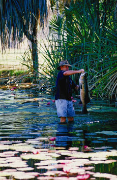 Fishing in Northern Territory - courtesy of Tourism NT