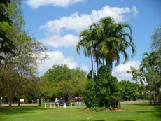 The parkland near the Batchelor General Store at Batchelor township