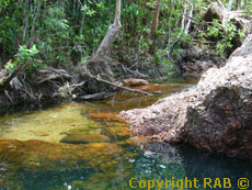 Click here for this enlarge photo (Copyright protected) for Buley Rockhole in Litchfield National Park.