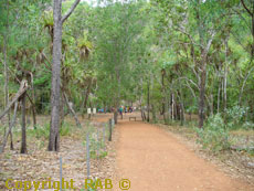 Easy access footpaths at Wangi Falls