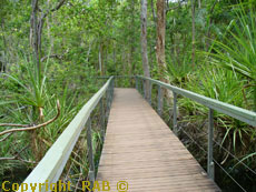 Wangi Falls boardwalk