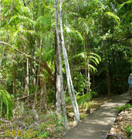 Wangi Falls boardwalk