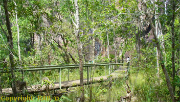 Wangi Falls boardwalk